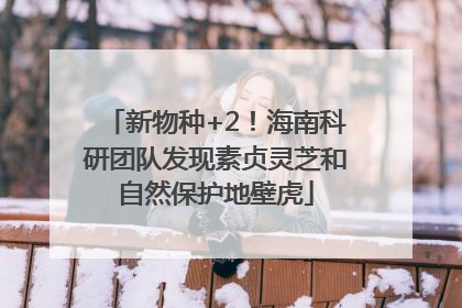 新物种+2！海南科研团队发现素贞灵芝和自然保护地壁虎
