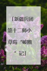 新疆兵团第十二师小草莓“破圈”记