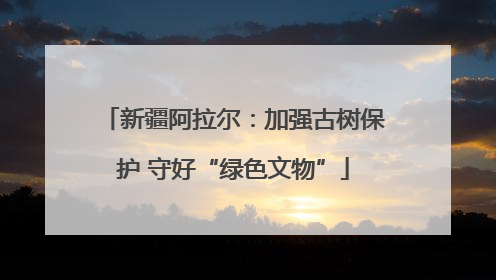 新疆阿拉尔：加强古树保护 守好“绿色文物”