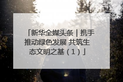 新华全媒头条｜携手推动绿色发展 共筑生态文明之基（1）