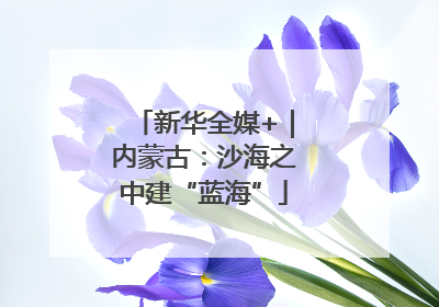新华全媒+｜内蒙古：沙海之中建“蓝海”