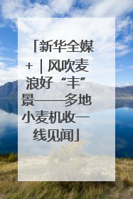 新华全媒+｜风吹麦浪好“丰”景——多地小麦机收一线见闻