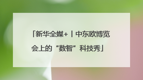 新华全媒+丨中东欧博览会上的“数智”科技秀