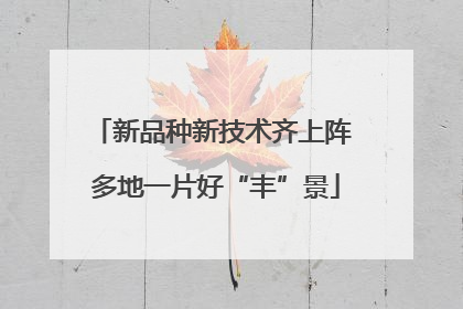 新品种新技术齐上阵 多地一片好“丰”景