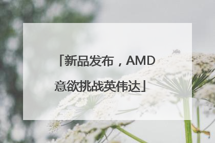 新品发布，AMD意欲挑战英伟达