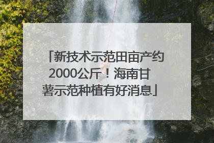 新技术示范田亩产约2000公斤！海南甘薯示范种植有好消息