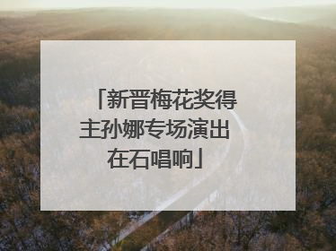 新晋梅花奖得主孙娜专场演出在石唱响