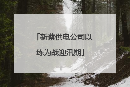 新蔡供电公司以练为战迎汛期