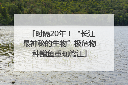 时隔20年！“长江最神秘的生物”极危物种鳤鱼重现赣江