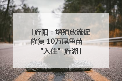 旌阳：增殖放流促修复 10万尾鱼苗“入住”旌湖
