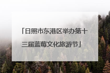 日照市东港区举办第十三届蓝莓文化旅游节