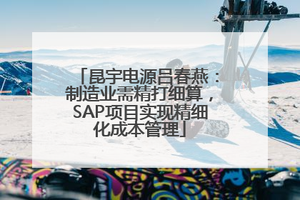 昆宇电源吕春燕：制造业需精打细算，SAP项目实现精细化成本管理