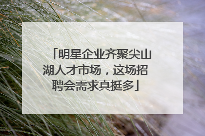 明星企业齐聚尖山湖人才市场，这场招聘会需求真挺多