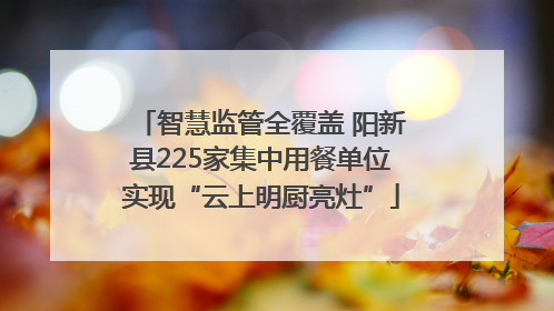 智慧监管全覆盖 阳新县225家集中用餐单位实现“云上明厨亮灶”
