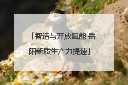 智造与开放赋能 岳阳新质生产力提速