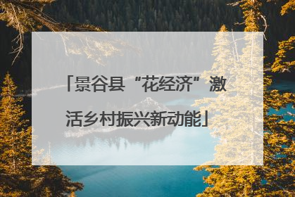 景谷县“花经济”激活乡村振兴新动能