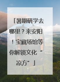 暑期研学去哪里？来安阳！宝藏场馆等你解锁文化“凉方”