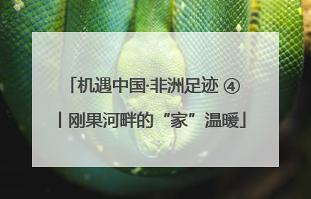 机遇中国·非洲足迹 ④丨刚果河畔的“家”温暖