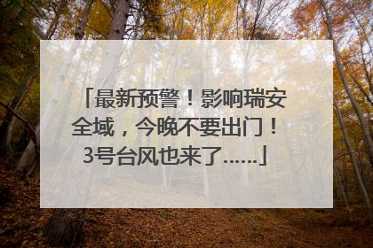 最新预警！影响瑞安全域，今晚不要出门！3号台风也来了……