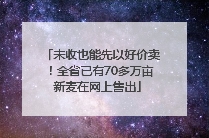 未收也能先以好价卖！全省已有70多万亩新麦在网上售出