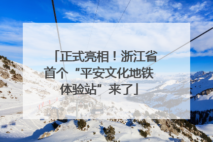 正式亮相！浙江省首个“平安文化地铁体验站”来了