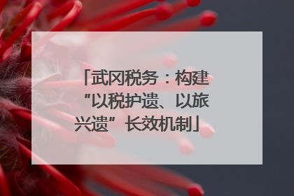 武冈税务：构建“以税护遗、以旅兴遗”长效机制