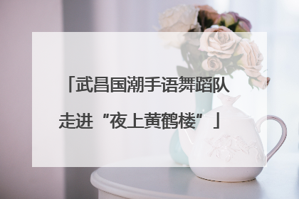 武昌国潮手语舞蹈队走进“夜上黄鹤楼”