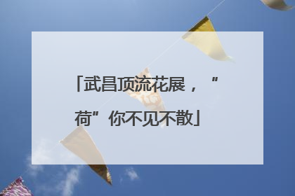 武昌顶流花展，“荷”你不见不散