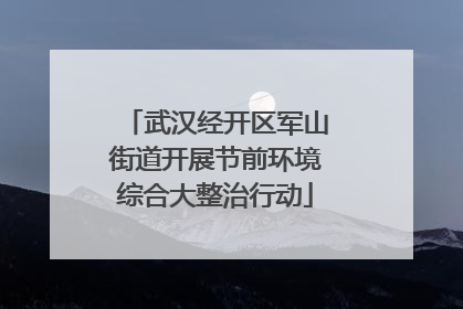 武汉经开区军山街道开展节前环境综合大整治行动