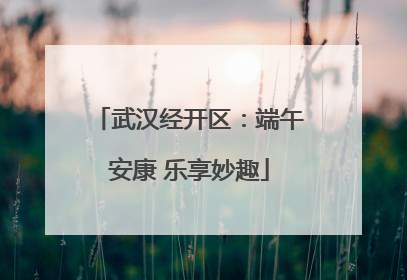 武汉经开区：端午安康 乐享妙趣