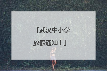 武汉中小学放假通知！