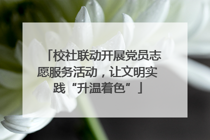 校社联动开展党员志愿服务活动，让文明实践“升温着色”
