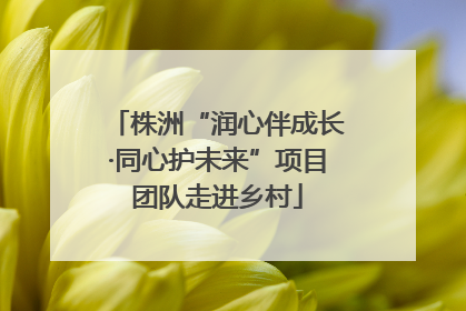 株洲“润心伴成长·同心护未来”项目团队走进乡村