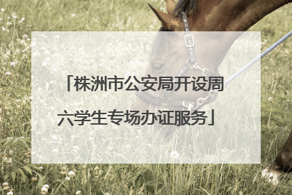 株洲市公安局开设周六学生专场办证服务
