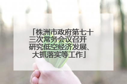 株洲市政府第七十三次常务会议召开 研究低空经济发展、大抓落实等工作