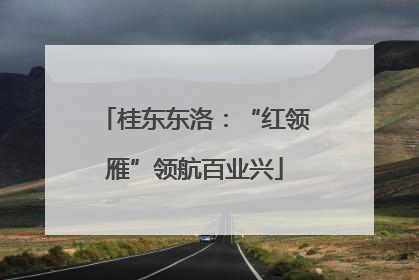 桂东东洛：“红领雁”领航百业兴