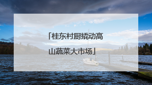 桂东村厨撬动高山蔬菜大市场