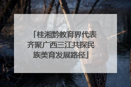桂湘黔教育界代表齐聚广西三江共探民族美育发展路径