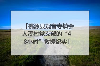 桃源县观音寺镇会人溪村党支部的“48小时”救援纪实