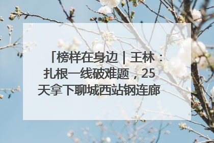 榜样在身边｜王林：扎根一线破难题，25天拿下聊城西站钢连廊“硬核”工程