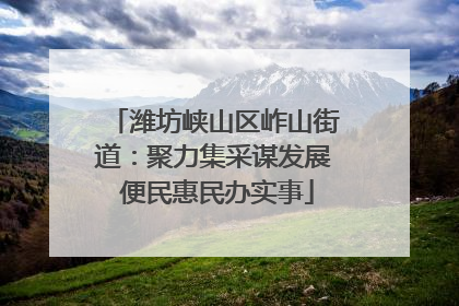 潍坊峡山区岞山街道：聚力集采谋发展 便民惠民办实事