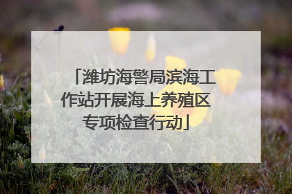 潍坊海警局滨海工作站开展海上养殖区专项检查行动