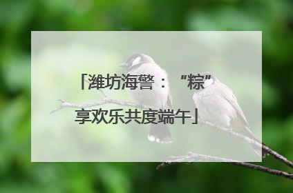 潍坊海警：“粽”享欢乐共度端午