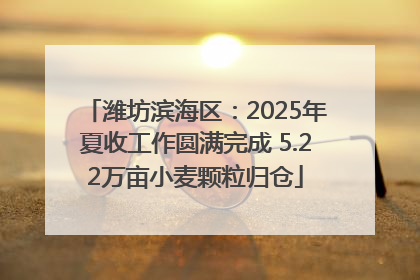 潍坊滨海区：2025年夏收工作圆满完成 5.22万亩小麦颗粒归仓