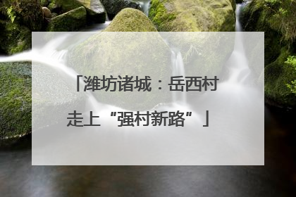 潍坊诸城：岳西村走上“强村新路”