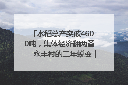 水稻总产突破4600吨，集体经济翻两番：永丰村的三年蜕变｜您牵挂的四川