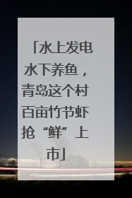 水上发电水下养鱼，青岛这个村百亩竹节虾抢“鲜”上市