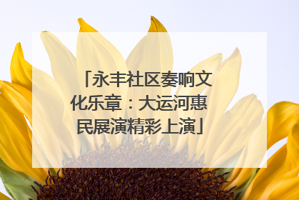 永丰社区奏响文化乐章：大运河惠民展演精彩上演
