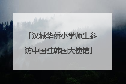 汉城华侨小学师生参访中国驻韩国大使馆