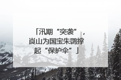 汛期“突袭”，崀山为国宝朱鹮撑起“保护伞”